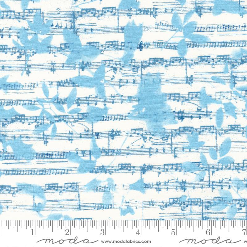 MO Bluebell Cloud 16962 11