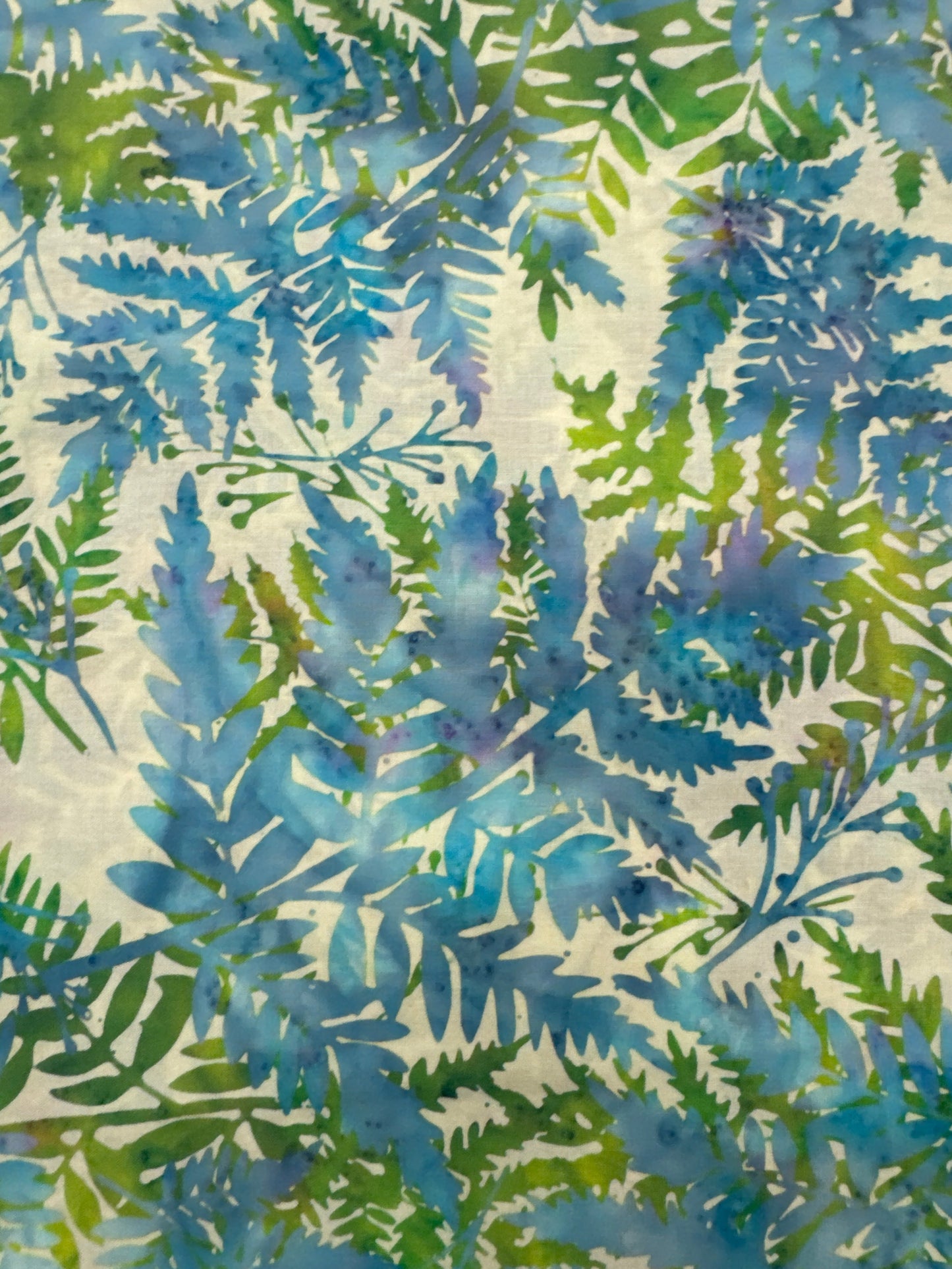 HO Leaves Parakeet