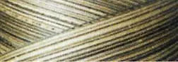 Cotton Quilting Thread 3-ply 40wt 3000yds Variegated Green House