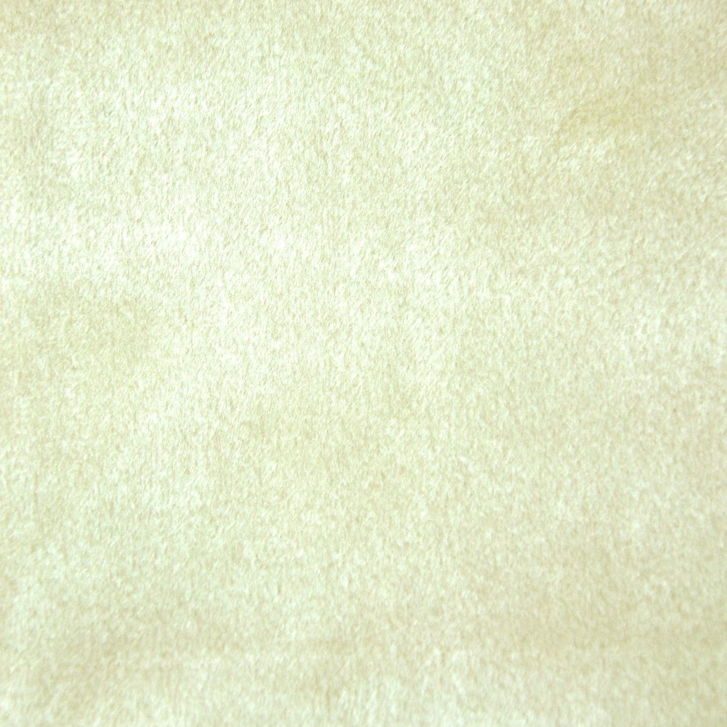 "Darling" Velvet Fabric (Oyster color)