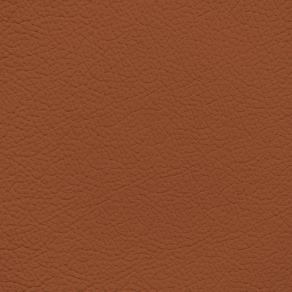 WALK101 — Desert Clay