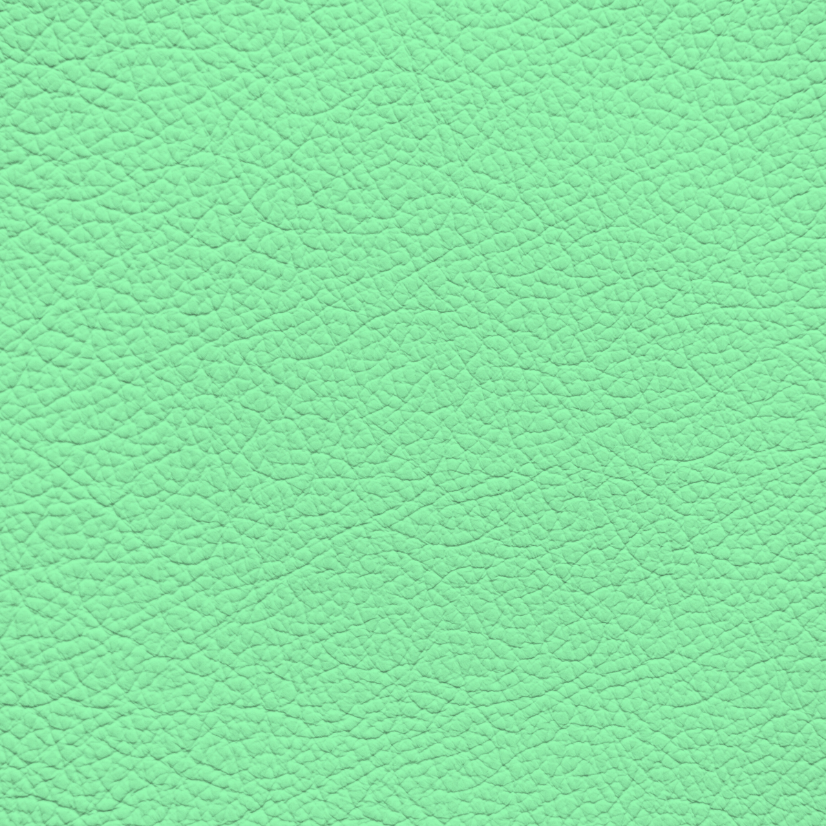 WALK101 — Fresh Mint