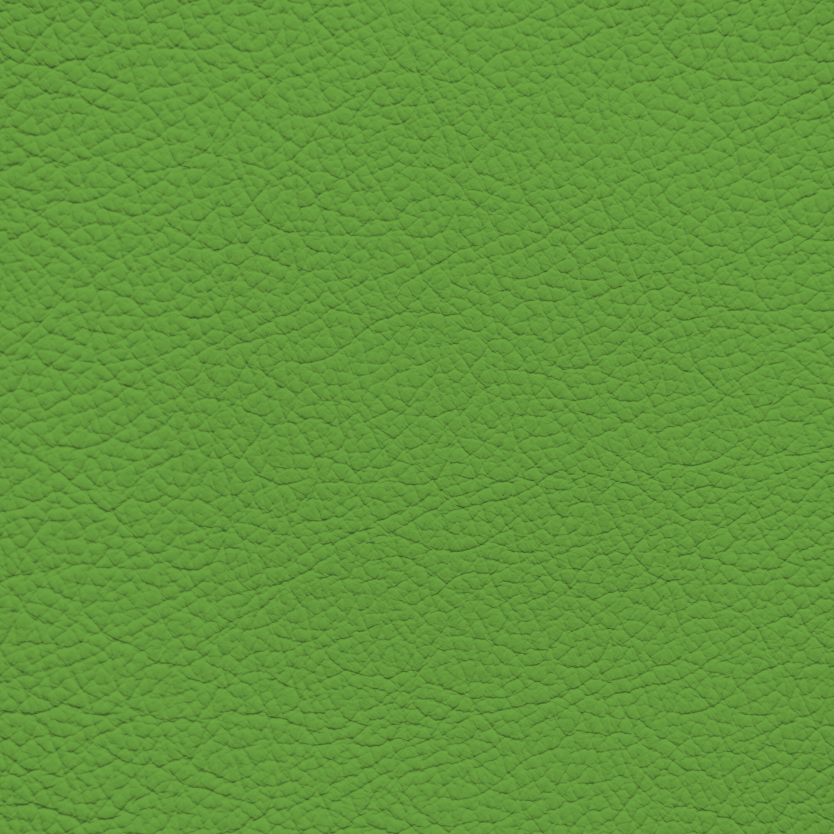 WALK101 — Moss