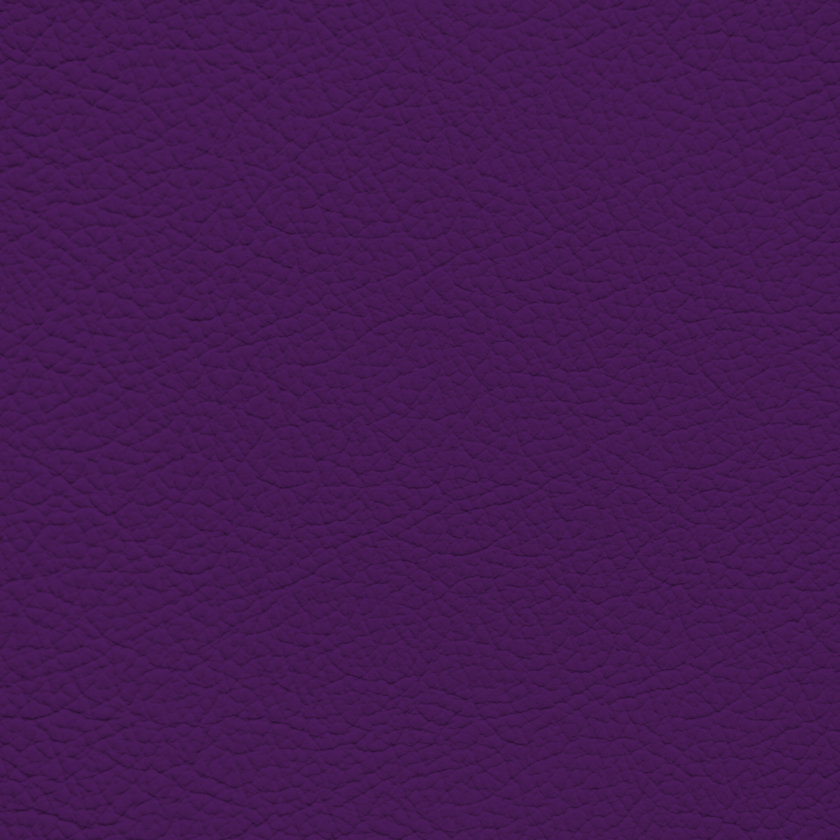 WALK101 — Plum