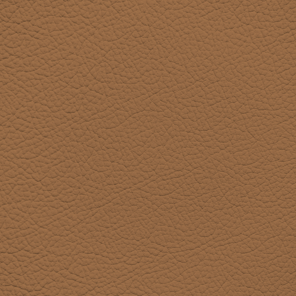 WALK101 — Tan Fade