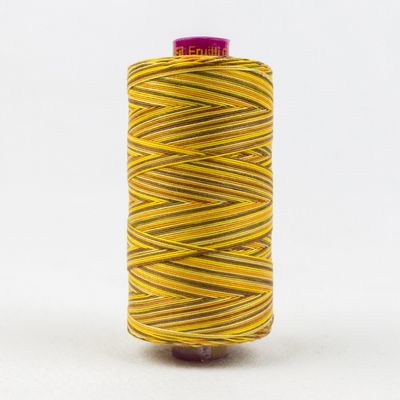 Fruitti 12wt Variegated 100m Spool