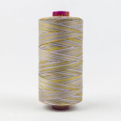 Fruitti 12wt Variegated 100m Spool