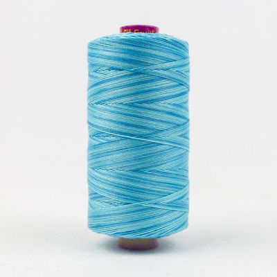 Fruitti 12wt Variegated 100m Spool