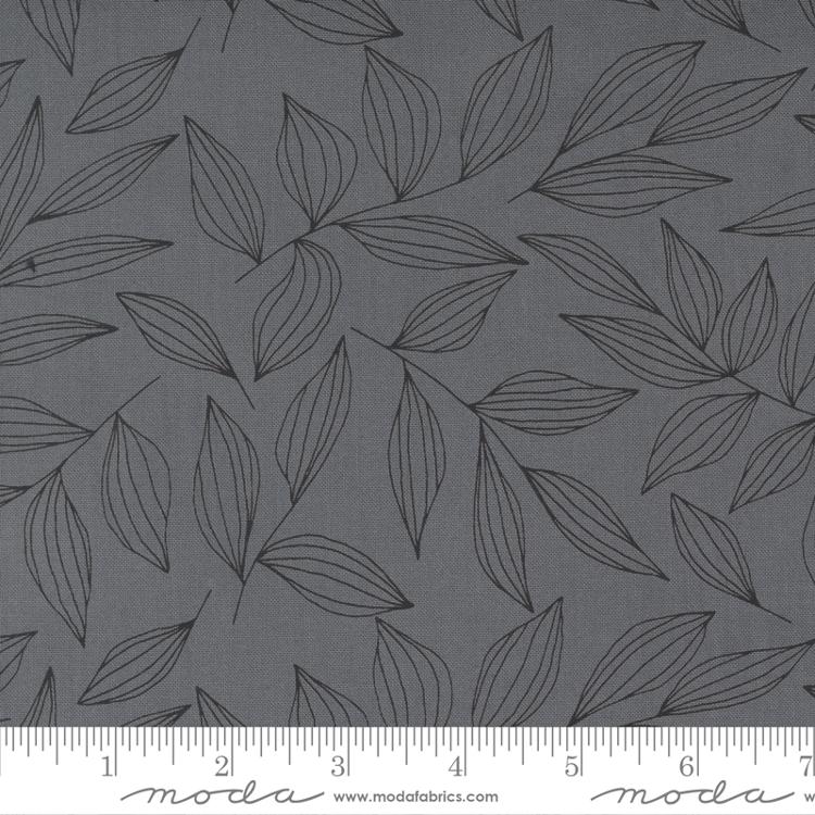 MO Create Graphite