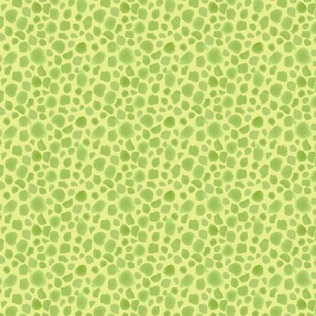 WD Soft Green First Spots King Of The Jungle