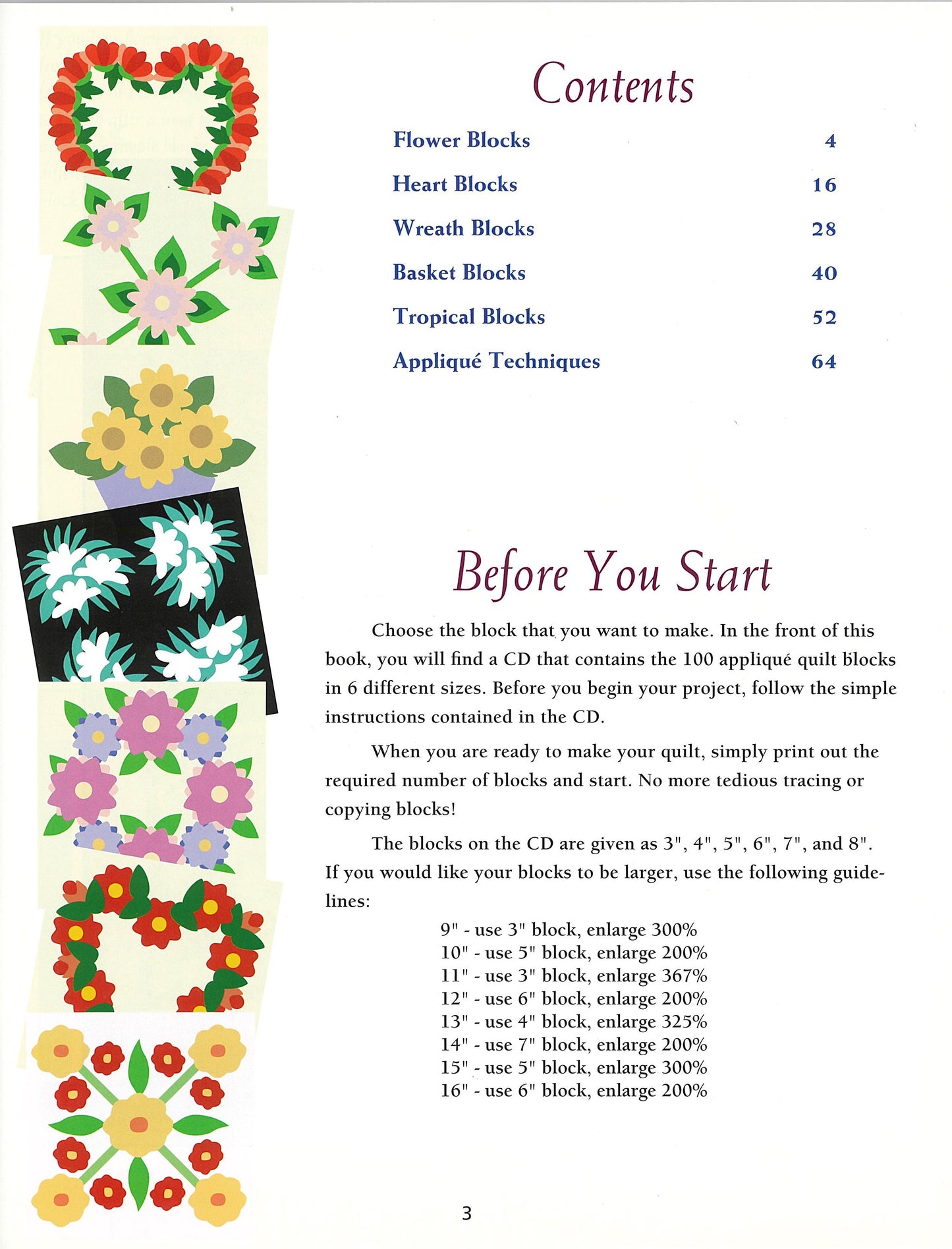 100 Any-Size Applique Blocks