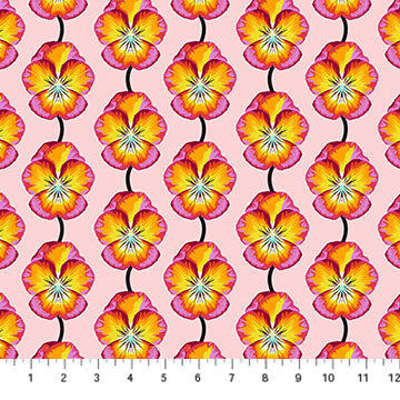 NC Anna Maria Pansy Flame