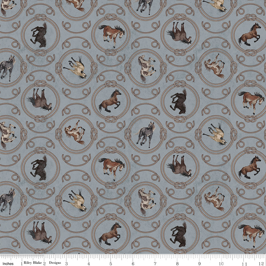 Horseshoe Creek Ropes Gray Quilt Fabric