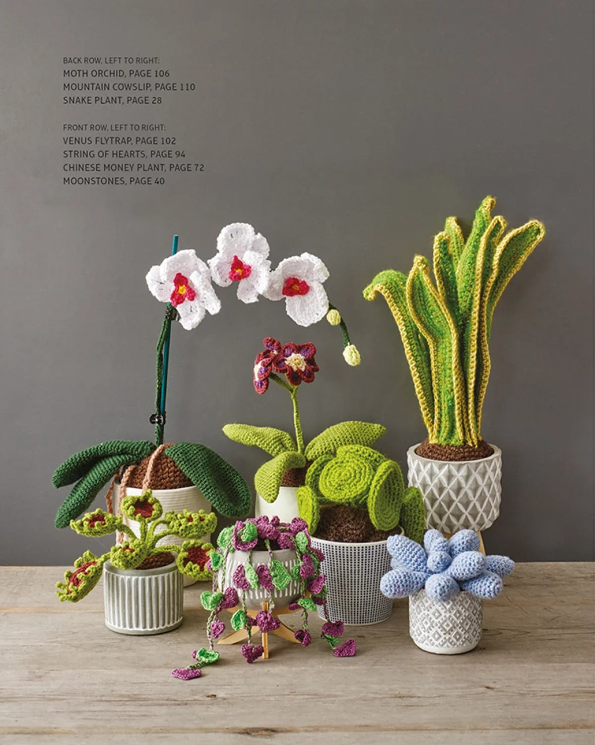 Crocheted Houseplants