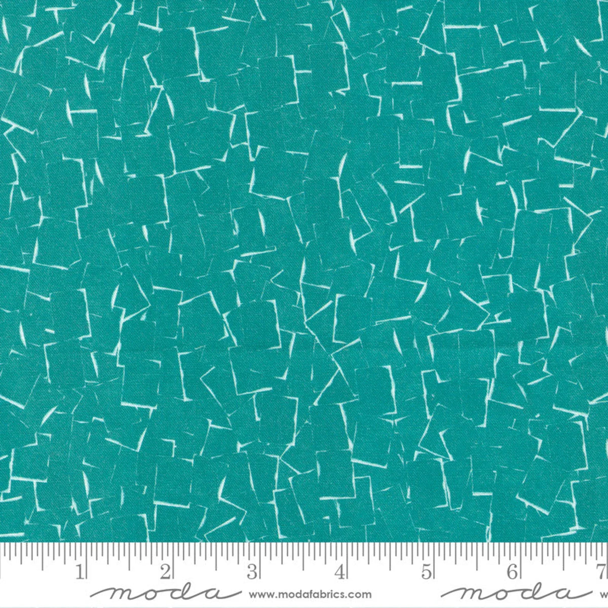 MO Bluebell Teal Shadowgraph