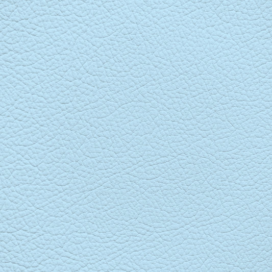 WALK101 — Ice Blue