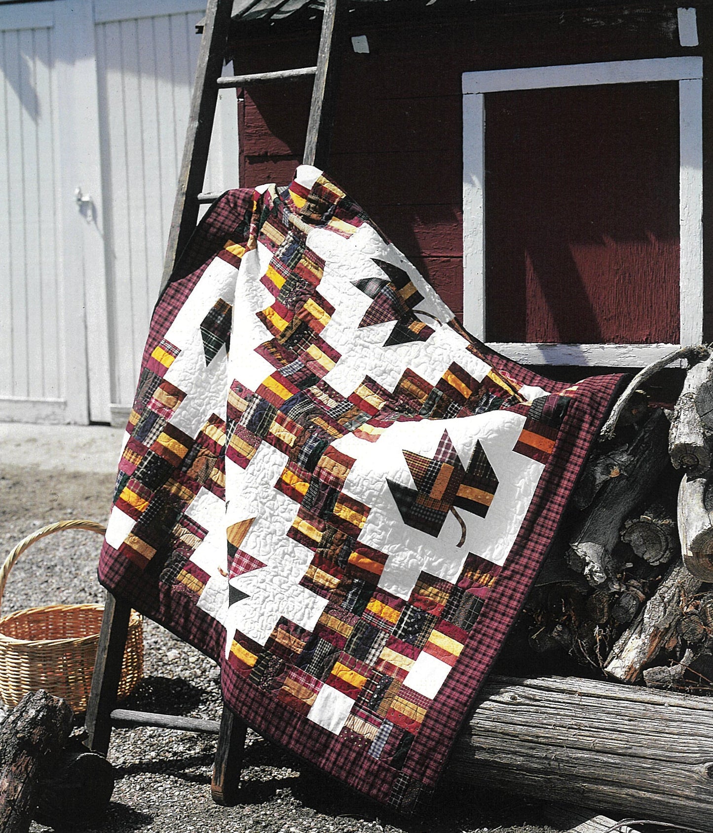 Quick & Scrappy Quilts