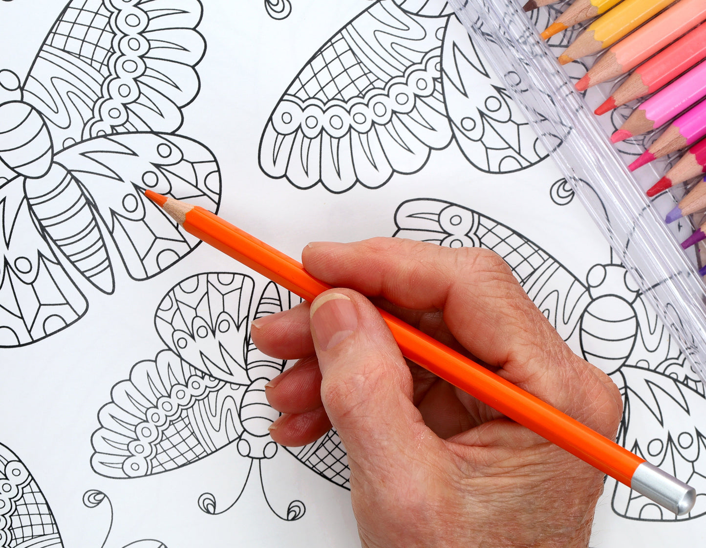 Too Cute Coloring Book