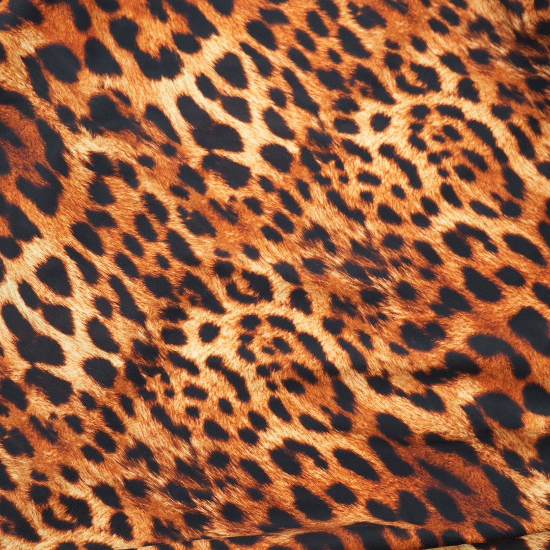 Leopard Spotted Safari Printed Spandex Fabric | Blue Moon Fabrics