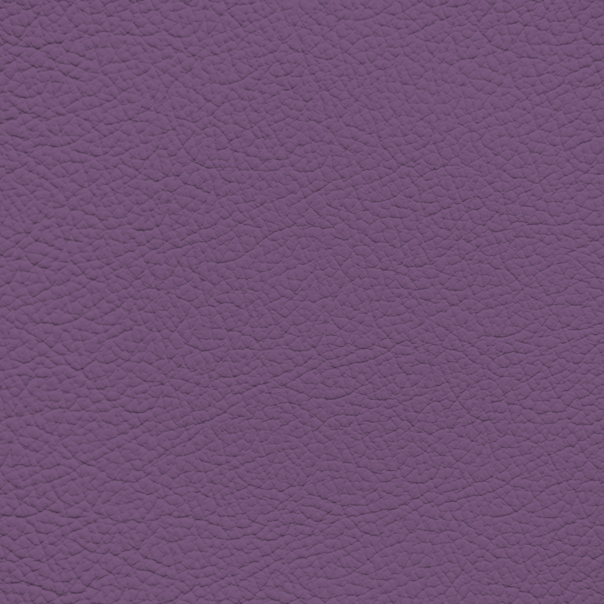WALK101 — Mauve Mist