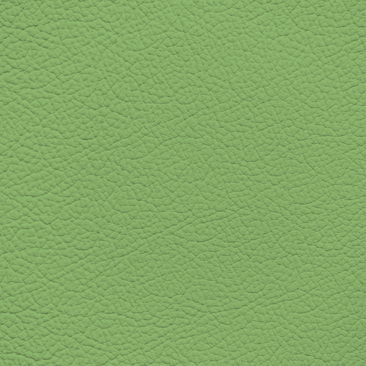 WALK101 — Pistachio