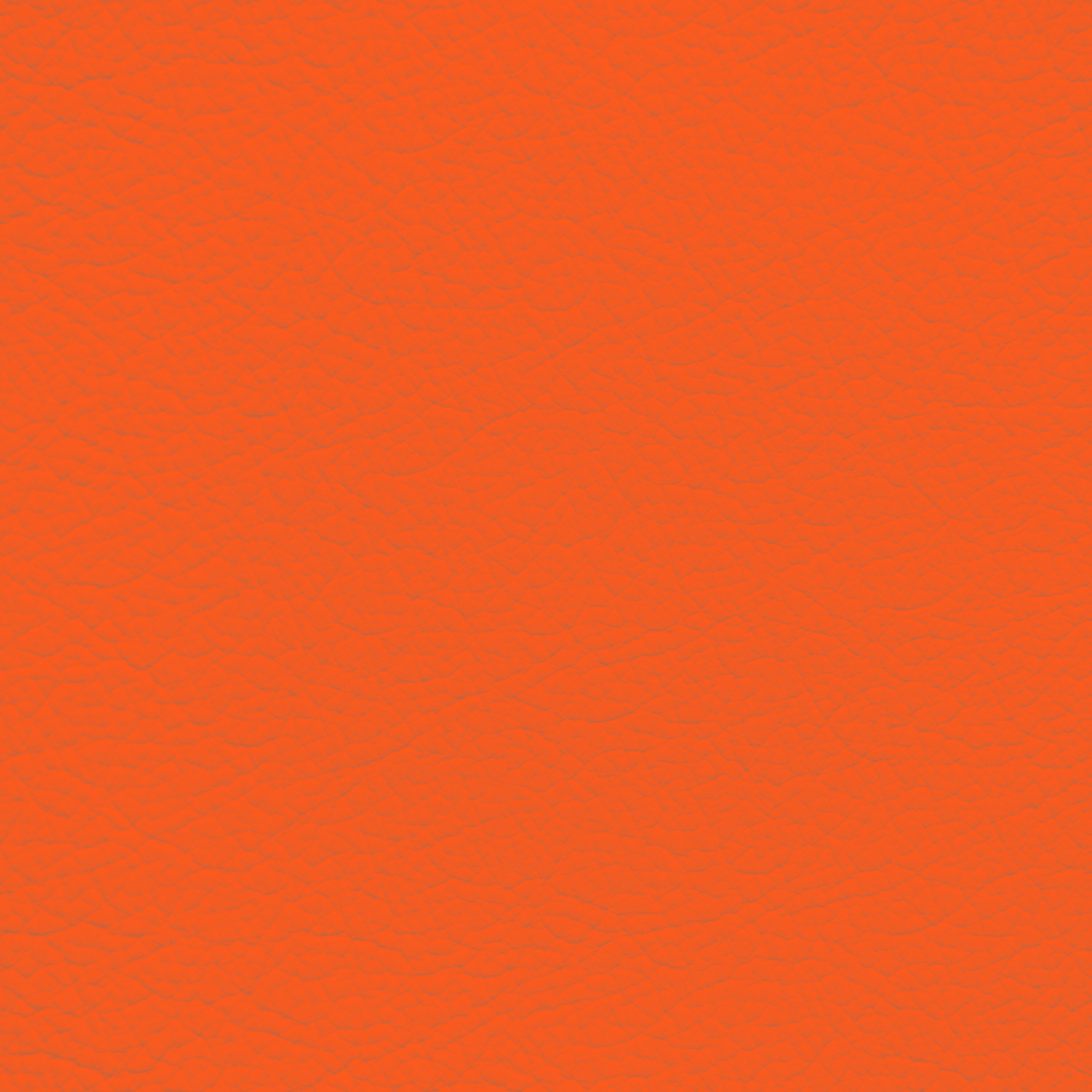 WALK101 — Tangerine