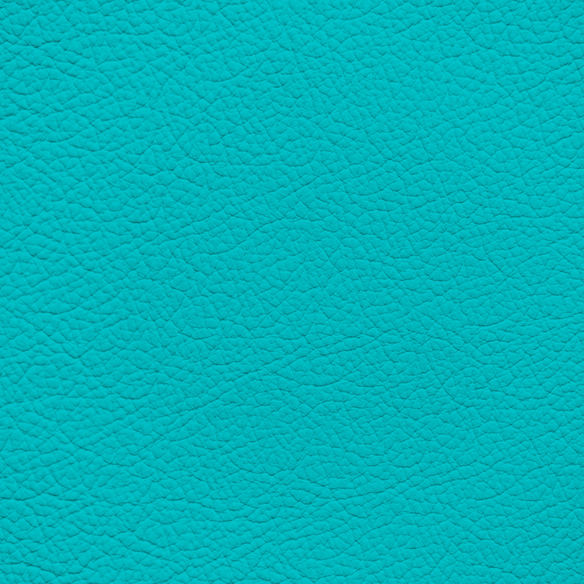 WALK101 — Turquoise Rush