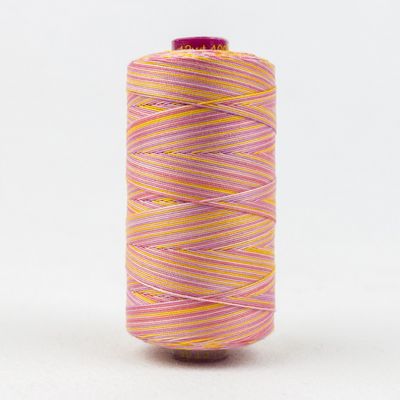 Fruitti 12wt Variegated 100m Spool