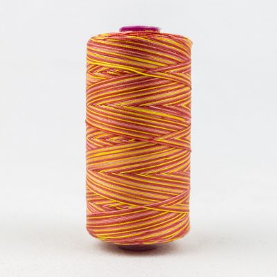 Fruitti 12wt Variegated 100m Spool