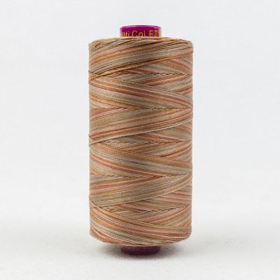 Fruitti 12wt Variegated 100m Spool